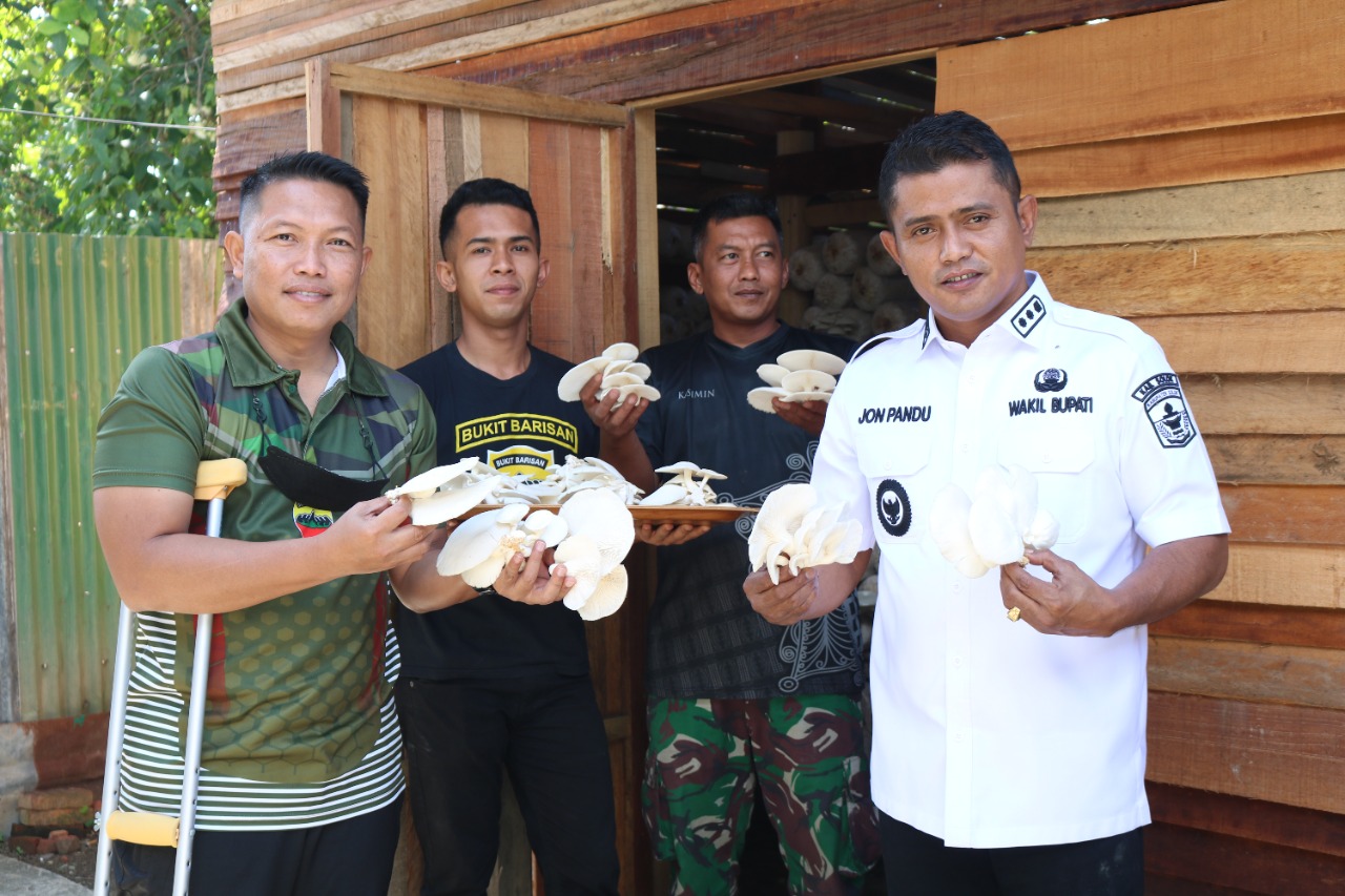 Tingkatkan Perekonomian dan Buka Lapangan Kerja, Dandim 0309/Solok Budidaya Jamur Tiram