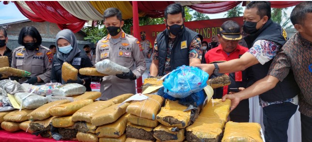 Satres Narkoba Polrestabes Medan Gagalkan dan Musnahkan Peredaran 84 Kg Ganja