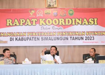 Kabupaten Simalungun Sukses Penurunan Stunting 10,6%, Dari 28% Menjadi 17,4%