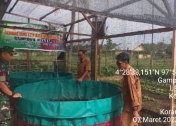Motivator Ketahanan Pangan Di Desa Binaan, Kali Ini Babinsa Rejeki Fajar Terjun Ke Bioflok Lele