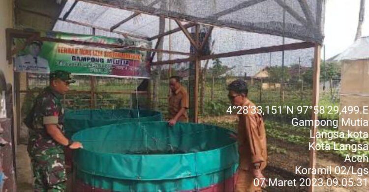 Motivator Ketahanan Pangan Di Desa Binaan, Kali Ini Babinsa Rejeki Fajar Terjun Ke Bioflok Lele