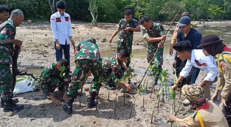 Lestarikan Alam , Kodim 0421/LS Tanam Mangrove