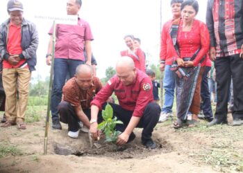 Bupati Taput Hadiri Penanaman Perdana Kopi Arabika Jenis Komasti di Desa Doloksaribu Taput