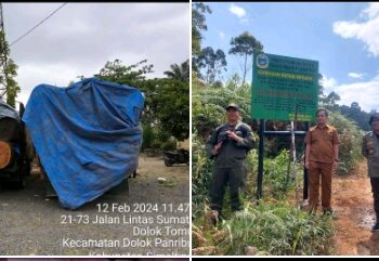UPT KPH Simalungun Gencarkan Patroli di Kawasan Hutan Lindung Regiter II Sibatu Loting, 2 Truk Pengangkut Kayu Hutan Diamankan, Pelaku Masih Misterius