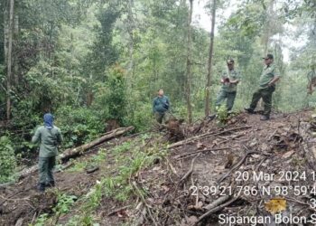 Warga Resah Pelaku Pembalakan Liar Hutan Lindung Regiter II Sibatu Loting Simalungun Tak Kunjung Ditangkap