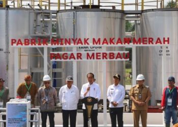 Presiden Jokowi Resmikan Pabrik Minyak Makan Merah Bernilai Investasi Rp 18,7 Miliar di Deliserdan