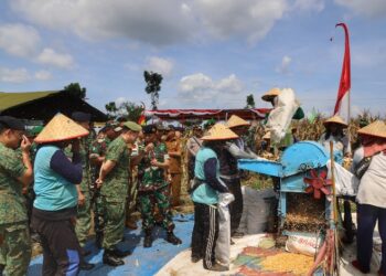 Kasdam I/BB Bawa Commander of The 2nd PDF Singapore Panen Jagung Bersama di Binjai 