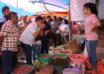 Tekan Inflasi : Pj Bupati Taput  Dimposma Sihombing Lakukan Sidak Pasar Tradisional