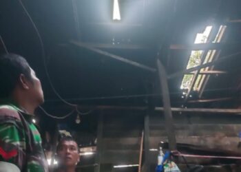 Hujan Es dan Angin Kencang Terjang Desa Berampu, Babinsa dan Warga Gotong Royong Bersihkan Pohon Tumbang