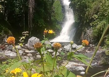 Menaklukkan Ekstremnya Pendakian Menuju Keindahan Air Terjun Siringo di Kecamatan Silahisabungan, Kabupaten Dairi