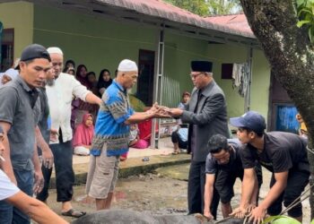 Bakal Calon Wakil Bupati Dairi, Barita Sihite, Bagikan Hewan Qurban di Hari Raya Idul Adha 1445 H