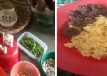 Pollong: Kuliner Tradisional Masyarakat Pakpak Dairi yang Kaya Rasa dan Budaya