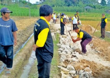 Program Marharoan Bolon Terus Bergelora di Simalungun untuk Kemajuan dan Kesejahteraan Masyarakat
