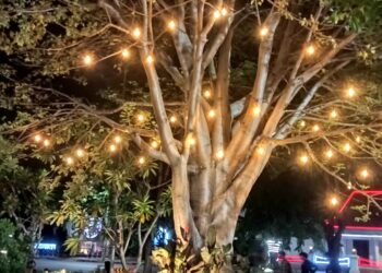 Pesona Magis Taman Hapsari: Wisata Malam yang Menenangkan di Surabaya