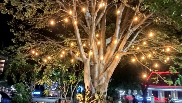 Pesona Magis Taman Hapsari: Wisata Malam yang Menenangkan di Surabaya