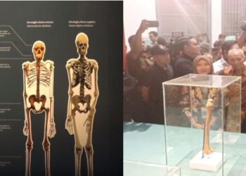 Menteri Kebudayaan RI Fadli Zon Tegaskan Posisi Indonesia Sebagai Peradaban Tertua di Dunia pada Pameran Peringatan 130 Tahun Penemuan Pithecanthropus Erectus