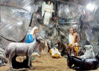 Refleksi Natal 2024 Natal 2024: “Menghidupi Kasih dan Harapan dalam Setiap Langkah”