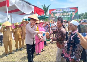 Polres Binjai Ikuti Penanaman Jagung Serentak untuk Mendukung Ketahanan Pangan Nasional