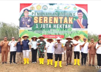 Wakil Bupati Simalungun Hadiri Penanaman Jagung Serentak 1 Juta Hektar untuk Ketahanan Pangan Nasional