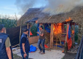 Polres Binjai Bakar Barak Peredaran Narkoba di Tengah Perkebunan Tebu, Tiga Terduga Diamankan