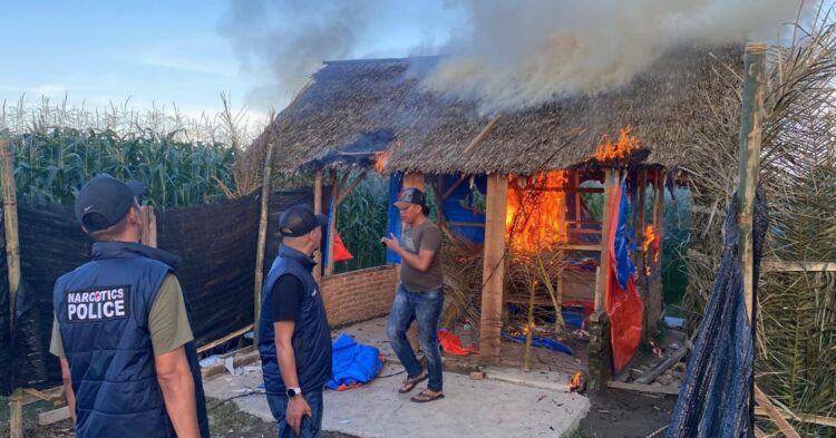 Polres Binjai Bakar Barak Peredaran Narkoba di Tengah Perkebunan Tebu, Tiga Terduga Diamankan