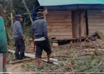 Warga Desa Hasinggaan Samosir Kecam Perambahan Hutan, Desak Aparat Ambil Tindakan Tegas