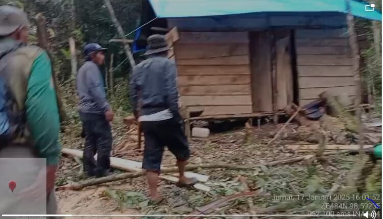 Warga Desa Hasinggaan Samosir Kecam Perambahan Hutan, Desak Aparat Ambil Tindakan Tegas