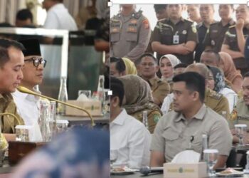 Bupati Pakpak Bharat Franc Bernhard Tumanggor Hadiri Rakor Bidang Pangan Provinsi Sumut bersama Kementerian Koordinator Bidang Pangan di Medan