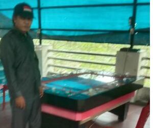 Mesin Judi Tembak Ikan Milik Oknum “H” Kembali Beroperasi di Medan Marelan