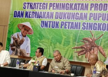 MSI Gelar Koordinasi Hulu-Hilir Singkong di Lampung untuk Optimalkan Potensi dan Atasi Permasalahan Petani