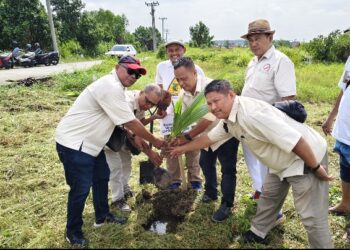 Wartawan DPRD Medan Ikut Tanam 100 Bibit Pohon Kelapa Peringati Hari Bumi
