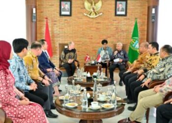 Wagub Sumut Surya Terima Dubes Denmark, Bahas Investasi Susu Sapi hingga Perikanan