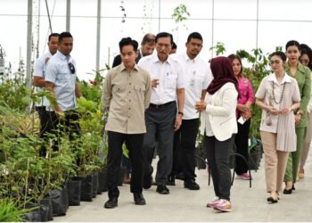 Wapres Gibran Apresiasi Hilirisasi Produk Herbal dan Hortikultura di TSTH2 Humbahas