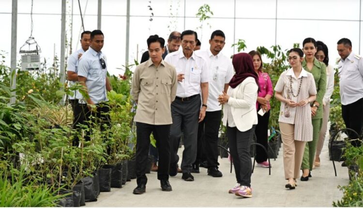 Wapres Gibran Apresiasi Hilirisasi Produk Herbal dan Hortikultura di TSTH2 Humbahas