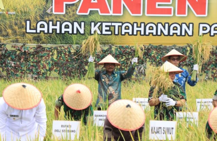 Wali Kota Binjai Hadiri Panen Raya Padi Kodam I/BB, TNI Tegaskan Komitmen Dukung Ketahanan Pangan Nasional