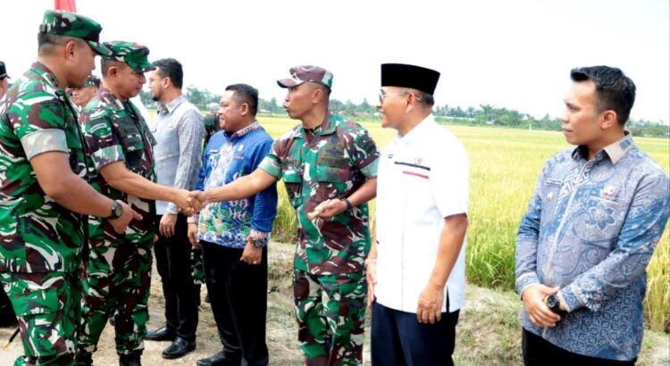 Bupati dan Wakil Bupati Simalungun Hadiri Panen Raya Padi Bersama Panglima TNI di Deli Serdang