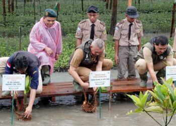 Sumut Sudah Tanam 8.307 Hektare Mangrove, Pj Sekdaprov Sulaiman: Setiap Pohon adalah Investasi Masa Depan