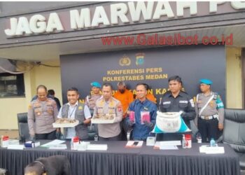 Polrestabes Medan Tangkap Dua Pelaku Perdagangan Satwa Dilindungi, Amankan Beruang Madu Awetan dan Sisik Trenggiling