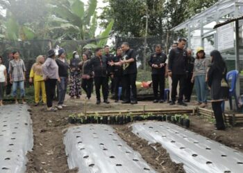 Bupati Pakpak Bharat Tinjau Kebun B2SA PKK Silima Kuta: Contoh Kemandirian Pangan Keluarga