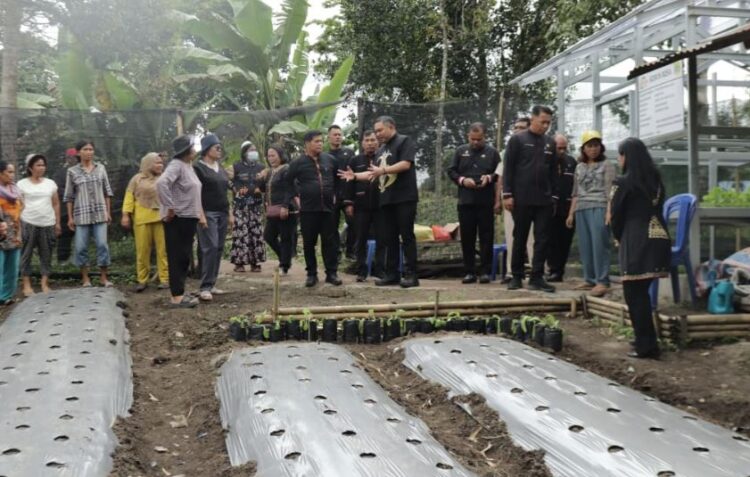 Bupati Pakpak Bharat Tinjau Kebun B2SA PKK Silima Kuta: Contoh Kemandirian Pangan Keluarga