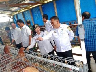 BUMDes Meradu Mende Kembangkan Usaha Bebek Petelur, Bupati FBT: Harus Jadi Penopang Ekonomi Desa