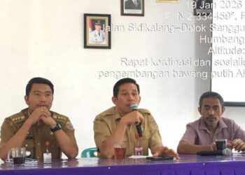 Pengembangan Food Estate 2026: Humbahas Peroleh Alokasi 250 Hektare Budidaya Bawang Putih
