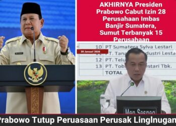 Presiden Prabowo Cabut Izin 28 Perusahaan Perusak Lingkungan, Negara Tegaskan Keadilan Ekologis