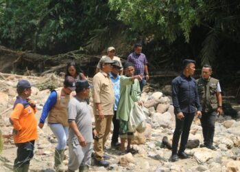 Bupati Taput Tinjau Bencana di Simangumban, Instruksikan Gerak Cepat