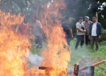Aparat Polres Karo Bakar Barak Narkoba dan Judi di Sukatendel, Pelaku Kabur Saat Polisi Datang