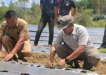 Dukung Program Makan Bergizi Gratis, Bupati Taput Dorong BUMDes Sisordak Jadi Pemasok Utama Komoditas Pangan