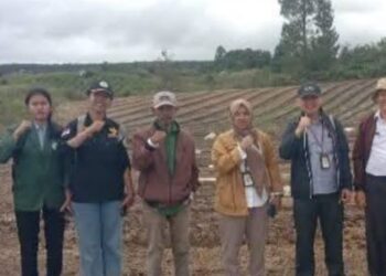 Pemkab Humbahas dan Kementan RI Matangkan Demplot Bawang Putih di Ria-Ria, Siap Sambut Kunjungan Menteri Pertanian