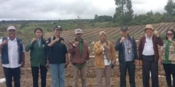 Pemkab Humbahas dan Kementan RI Matangkan Demplot Bawang Putih di Ria-Ria, Siap Sambut Kunjungan Menteri Pertanian