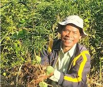 “Go and Sin No More” TPL: Sebuah Rekonstruksi Solusi atas Konflik Panjang di Tanah Batak