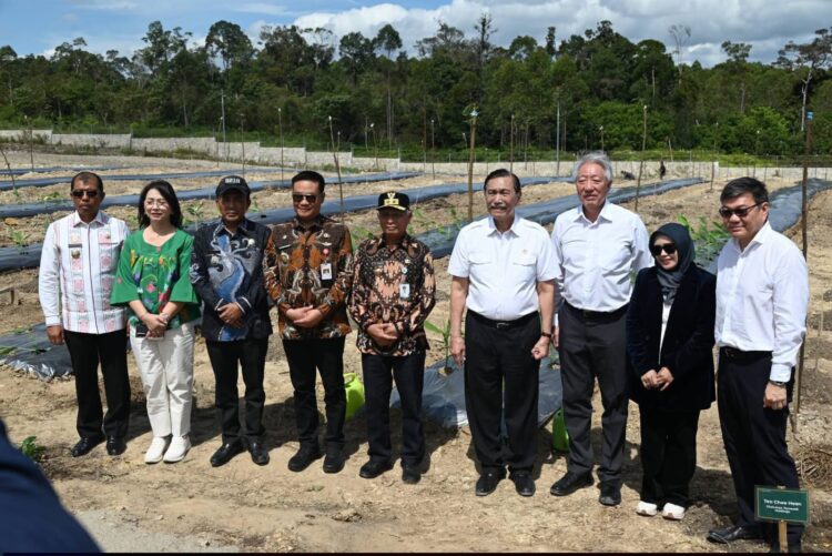 Sinergi Internasional: Bupati dan Wakil Bupati Humbang Hasundutan Dampingi Kunjungan Ketua DEN dan Chairman Temasek ke TSTH2